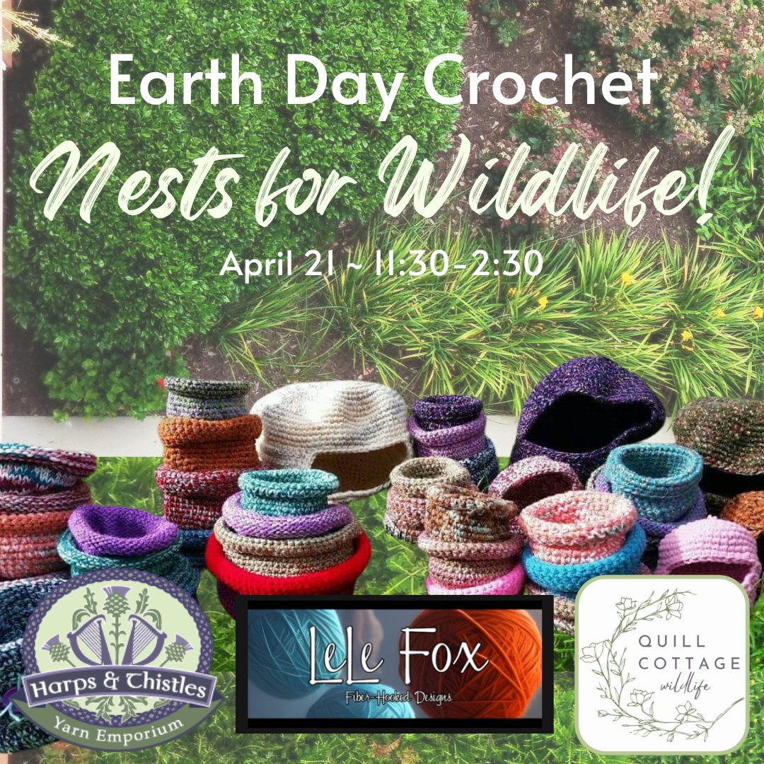 Earth Day ~ Wildlife Nests Crochet Workshop! ~ April 21st