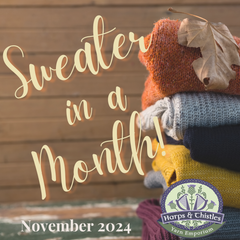 Sweater in a Month!